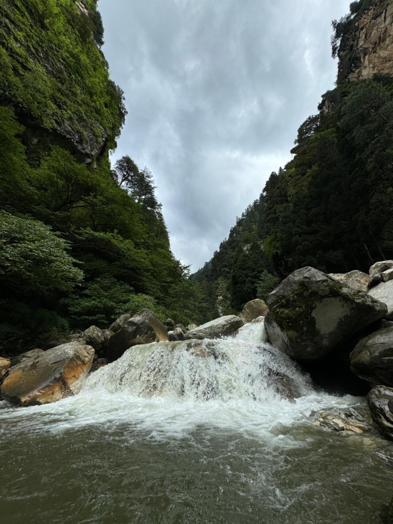 Delight Homestay Kasol Zewnętrze zdjęcie