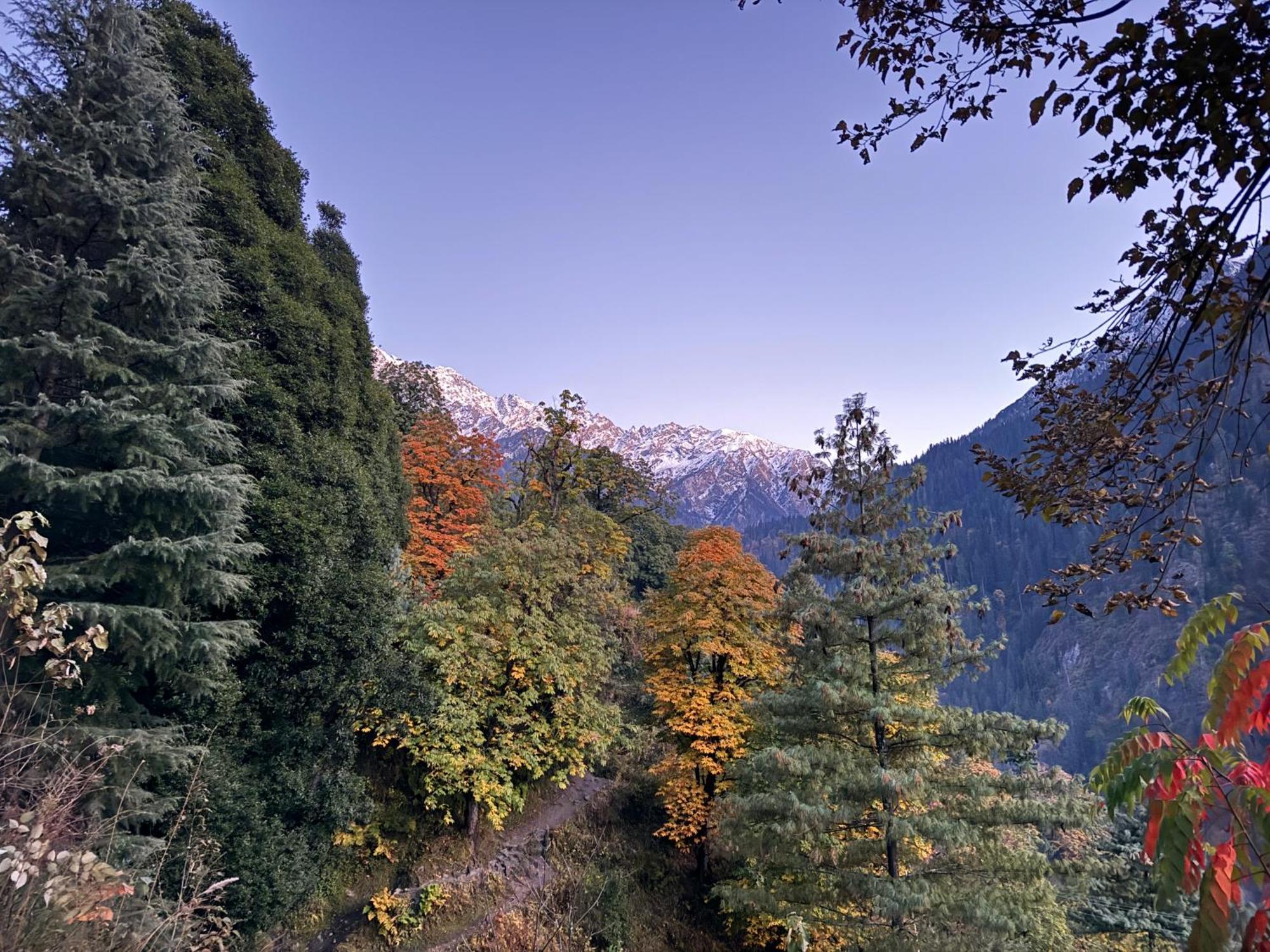 Delight Homestay Kasol Zewnętrze zdjęcie
